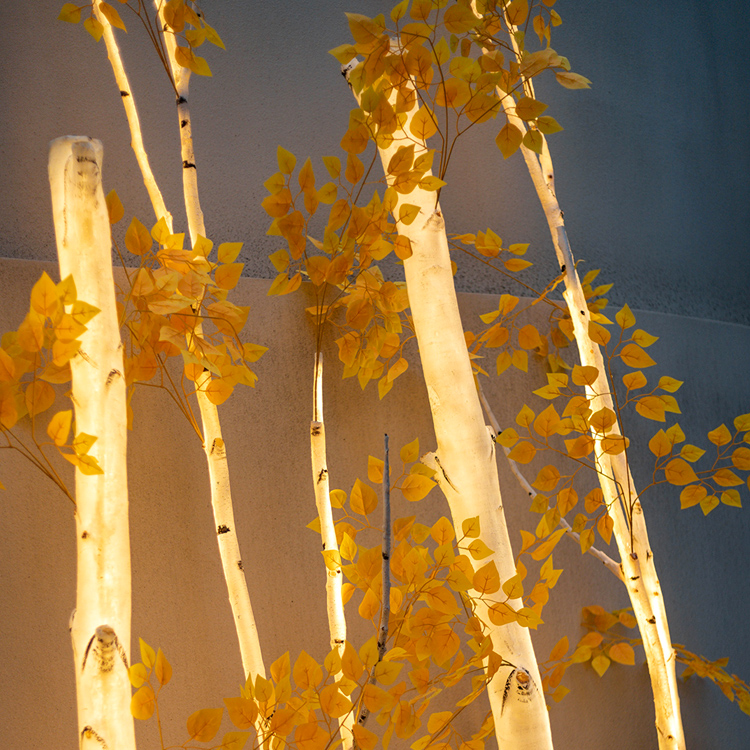 LED Birch Tree Light