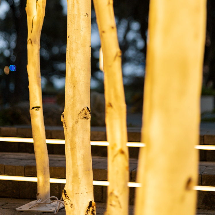 LED Birch Tree Light